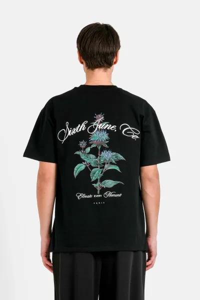 Sixth June Elevated Thistle Graphic T-shirt - Black