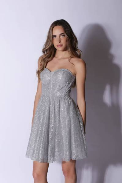 Glitter Bustier Mini Dress Vivienne - Silver